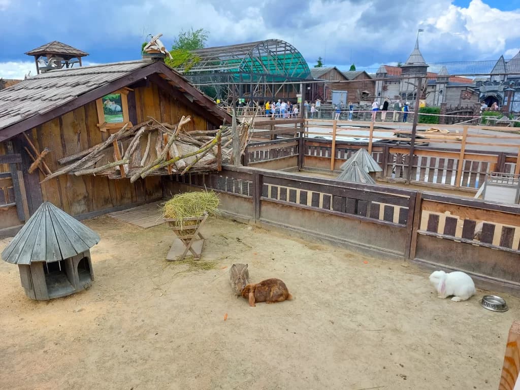 Брест — парк «Диприз», Барановичи 1